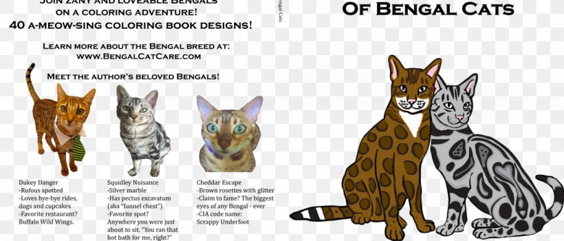 The Big Coloring Book Of Bengal Cats Maine Coon Ragdoll California Spangled, PNG, 1170x500px, Bengal Cat, Book, Breed, California Spangled, Carnivoran Download Free