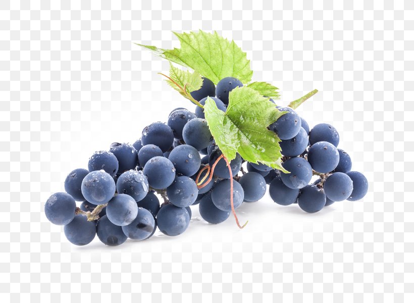 Cabernet Sauvignon Sauvignon Blanc Gamay Kyoho Cabernet Franc, PNG, 800x600px, Cabernet Sauvignon, Bilberry, Blueberry, Bordeaux Wine, Cabernet Franc Download Free