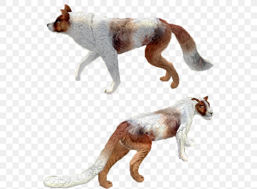 Dog Breed Africanis Dingo Rough Collie Border Collie, PNG, 545x605px, Dog Breed, Africanis, Animal Figure, Art, Artist Download Free