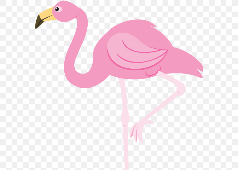 Flamingo, PNG, 579x587px, Flamingo, Beak, Bird, Greater Flamingo, Pink Download Free