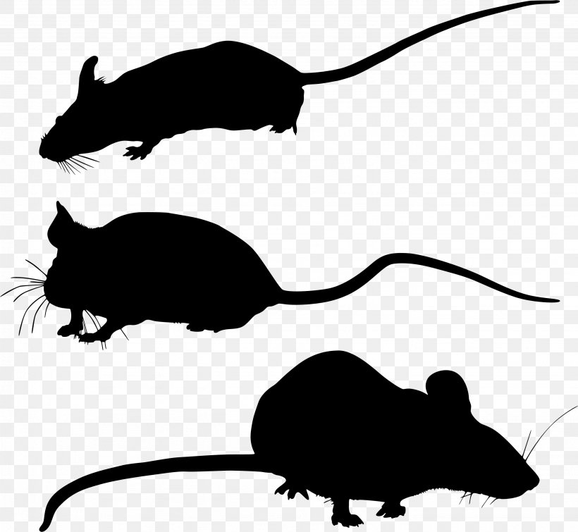 Gerbil Whiskers Clip Art Computer Mouse Fauna, PNG, 2873x2647px, Gerbil, Computer Mouse, European Water Shrew, Fauna, Mouse Download Free