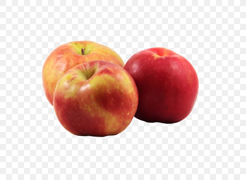 McIntosh Red Gravenstein Apple Cider Fruit Tree, PNG, 600x600px, Mcintosh Red, Apple, Balsamic Vinegar, Braeburn, Cider Download Free