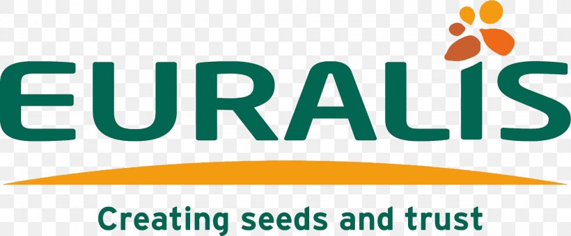 Pau Euralis Semences Seed EURALIS HOLDING, SA Benih, PNG, 2358x978px, Pau, Agribusiness, Agriculture, Area, Benih Download Free