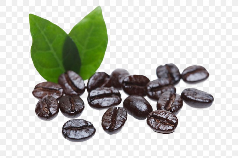 Arabic Coffee Cafe Coffee Bean, PNG, 1024x683px, Coffee, Arabic Coffee, Bean, Burr Mill, Cafe Download Free