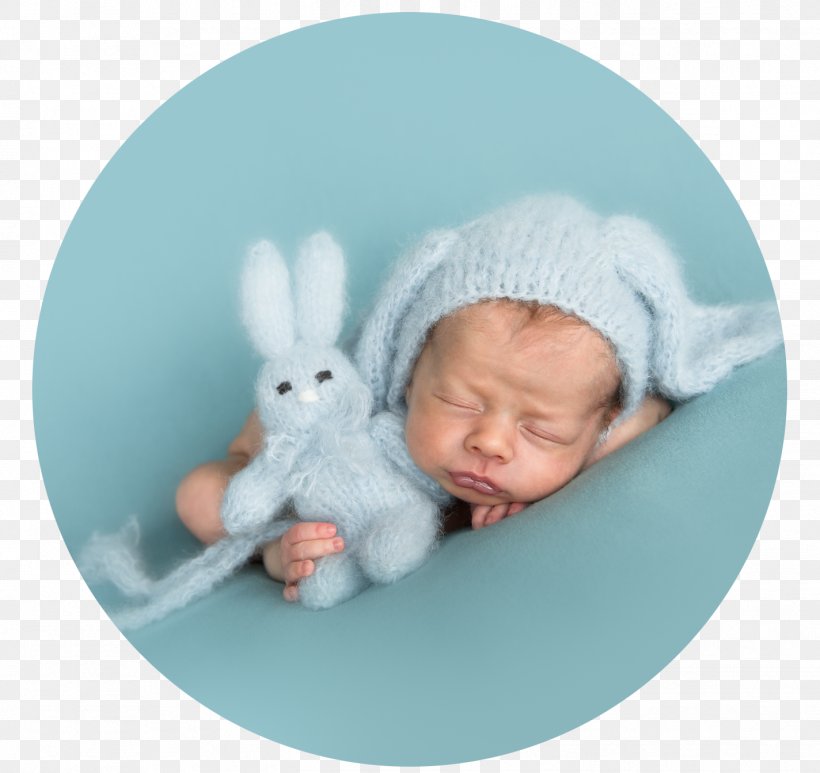 Infant Domestic Rabbit Fotografie Christa Nerinckx Stuffed Animals & Cuddly Toys Easter Bunny, PNG, 1424x1343px, Infant, Child, Communion, Domestic Rabbit, Easter Download Free