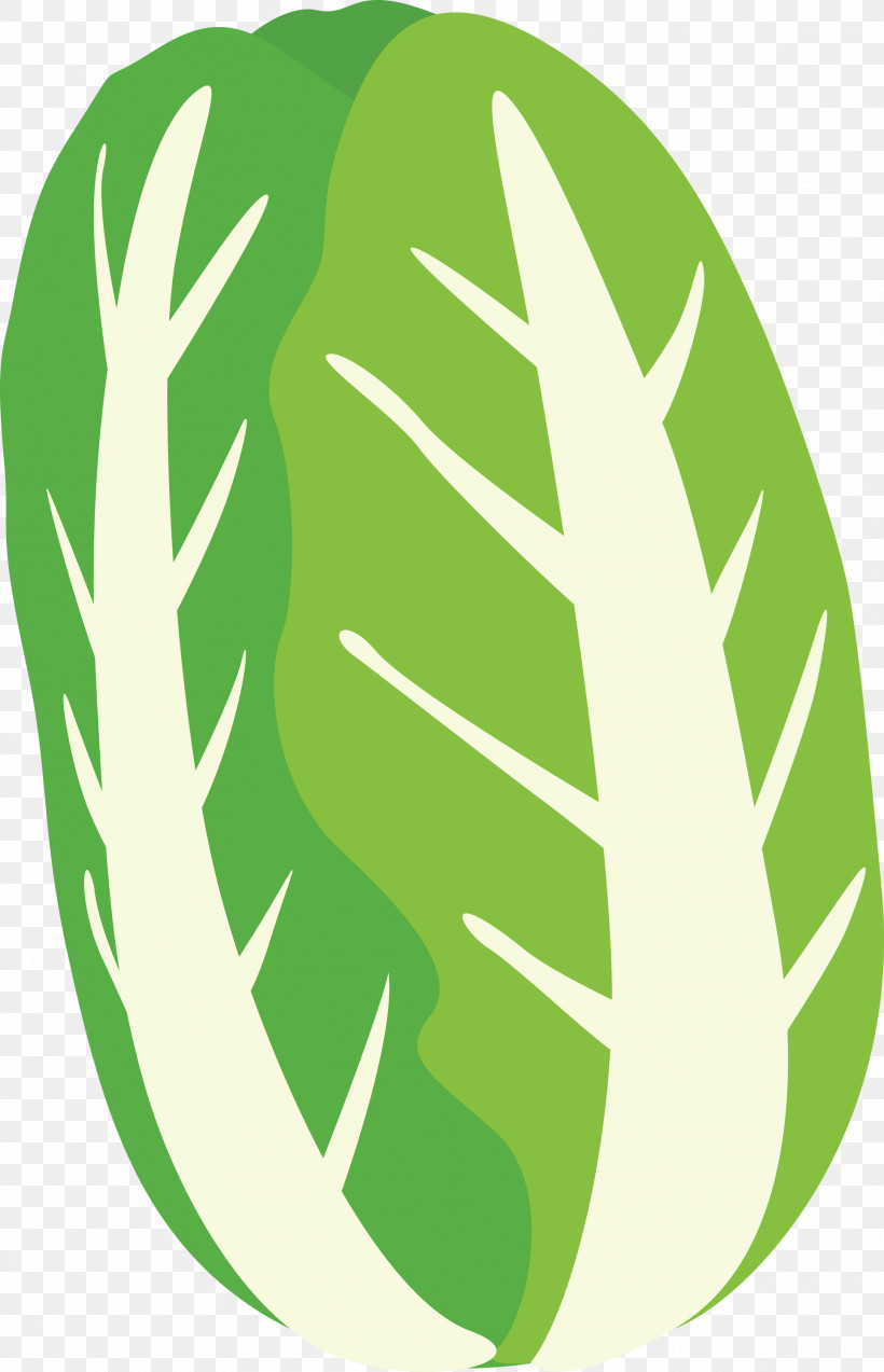 Nappa Cabbage, PNG, 1932x3000px, Nappa Cabbage, Green, Leaf, Logo, Monstera Deliciosa Download Free