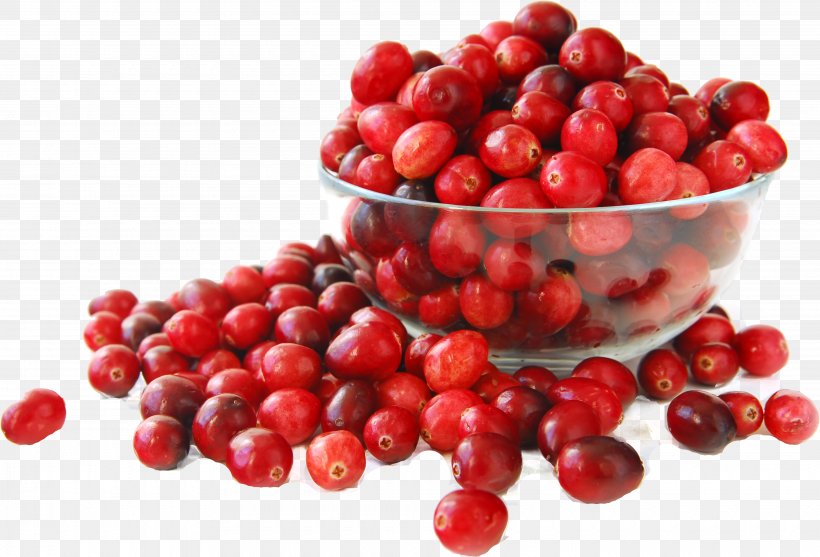 Organic Food Cranberry Juice Crisp, PNG, 3880x2636px, Organic Food, Berry, Bilberry, Blueberry, Cherry Download Free