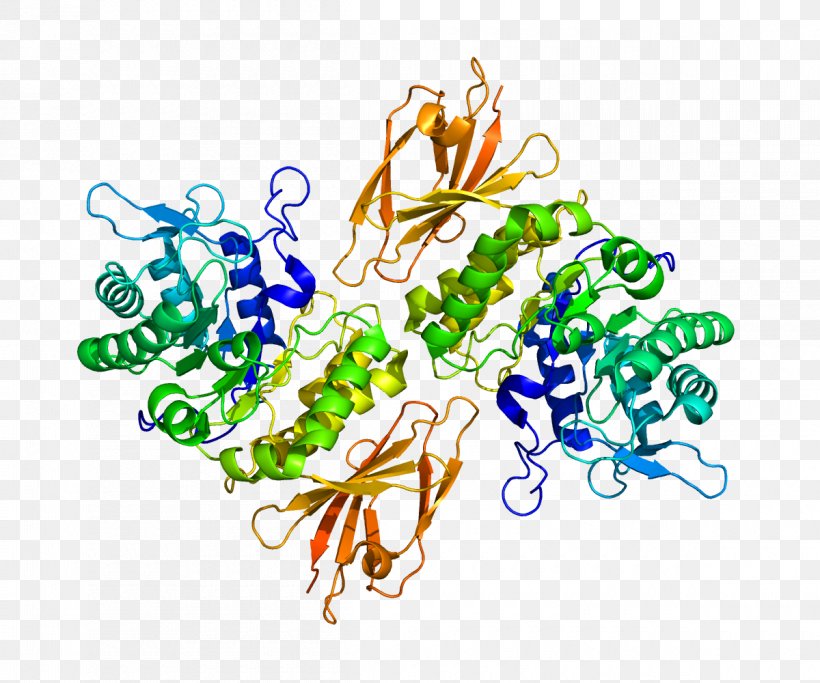 Schindler Disease Alpha-galactosidase Gene Beta-galactosidase Enzyme, PNG, 1200x1000px, Alphagalactosidase, Art, Betagalactosidase, Enzyme, Food Download Free