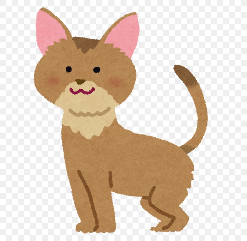 Whiskers Abyssinian Cat Maine Coon American Shorthair Cat Food, PNG, 660x800px, Whiskers, Abyssinian Cat, American Shorthair, Amyloidosis, Animal Figure Download Free