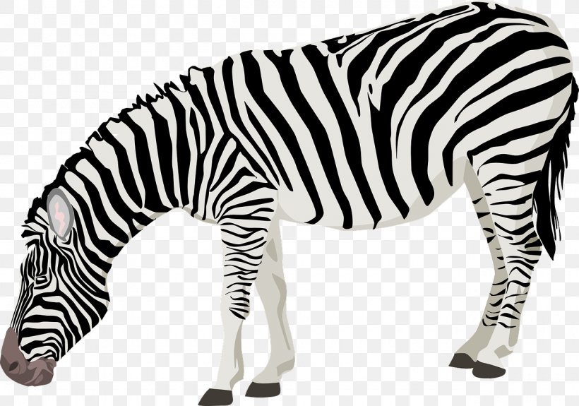 Zebra Clip Art, PNG, 1280x899px, Zebra, Animal Figure, Black And White, Cartoon, Free Content Download Free