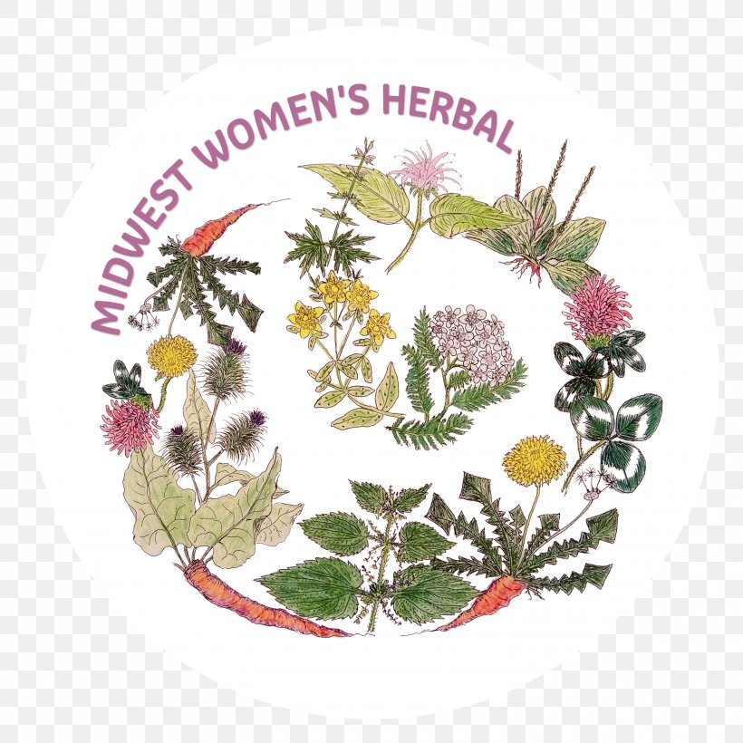 A Woman's Herbal Herbcraft Herbalism Food, PNG, 3000x3000px, Herbalism, Child, Floral Design, Flower, Flower Arranging Download Free