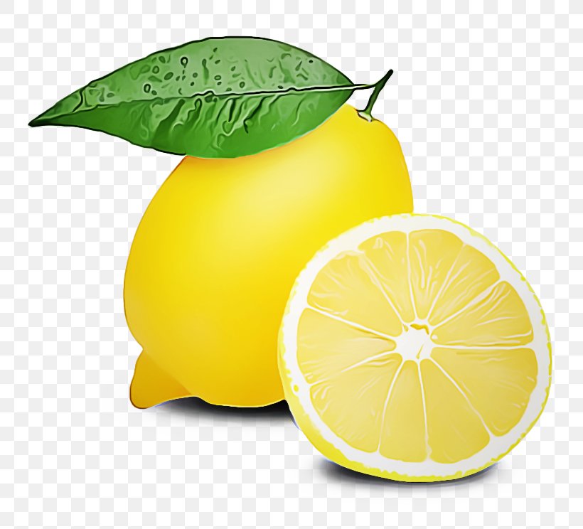 Citrus Lemon Yellow Lemon-lime Fruit, PNG, 744x744px, Citrus, Fruit, Grapefruit, Leaf, Lemon Download Free