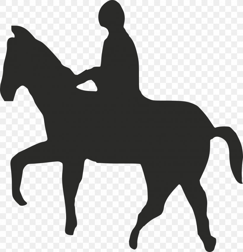 Horse Equestrian English Riding Equine Therapy Rein, PNG, 1850x1920px, Horse, Black And White, Bridle, Colt, English Riding Download Free