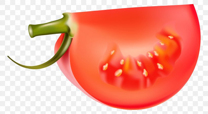 Vector Graphics Vegetable Tomato Illustration Clip Art, PNG, 1950x1073px, Vegetable, Aubergines, Bell Peppers And Chili Peppers, Capsicum, Chili Pepper Download Free