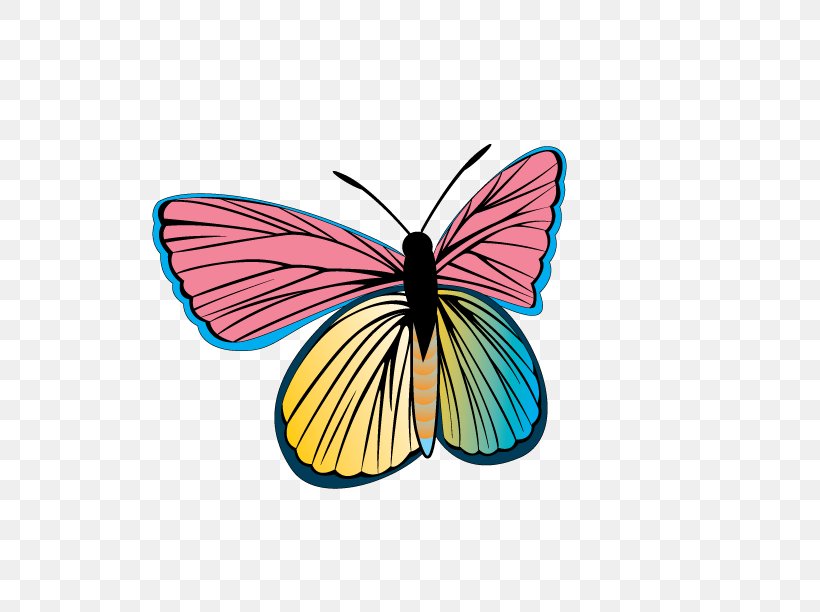 Butterfly Clip Art, PNG, 595x612px, Butterfly, Brush Footed Butterfly, Cdr, Insect, Invertebrate Download Free