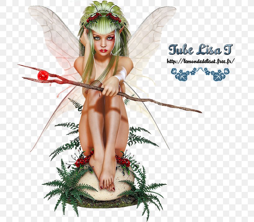 Fairy Elf Blog Organism, PNG, 710x717px, Fairy, Angel, Blog, Elf, Fictional Character Download Free