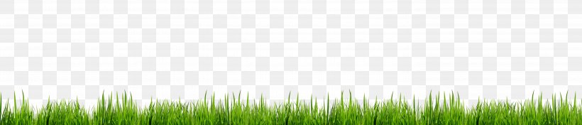 Grasses Lawn Energy Wallpaper, PNG, 5685x1224px, Grasses, Computer, Energy, Family, Grass Download Free