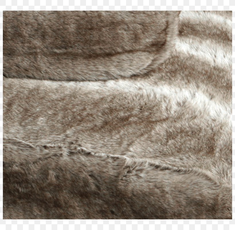 Centimeter Dog Fur Snout Germany, PNG, 800x800px, Centimeter, Accommodation, Beige, Brown, Color Download Free