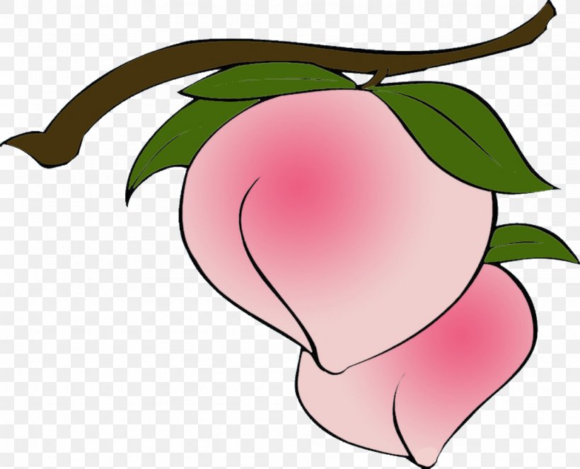 Peach Cartoon Ali, PNG, 1024x828px, Watercolor, Cartoon, Flower, Frame, Heart Download Free