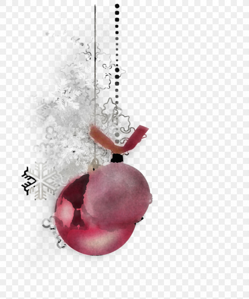 Plant Magenta Ornament, PNG, 852x1024px, Plant, Magenta, Ornament Download Free