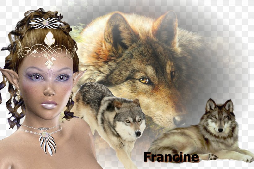 Saarloos Wolfdog Paper Painting Cross-stitch Giclée, PNG, 3000x2000px, Saarloos Wolfdog, Animal, Crossstitch, Crystal, Diamond Download Free