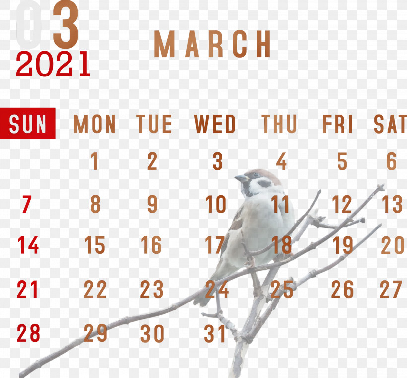 Font Meter Line Beak Science, PNG, 3000x2785px, 2021 Calendar, March 2021 Printable Calendar, Beak, Biology, Geometry Download Free