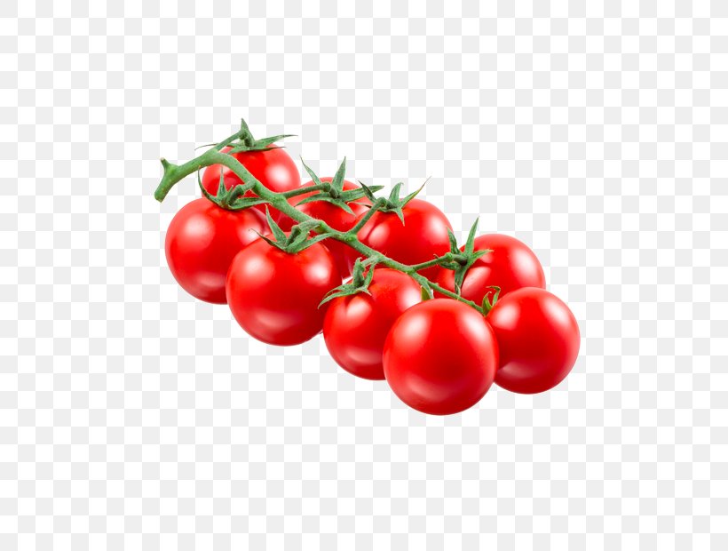 Plum Tomato Bush Tomato Cherry Tomato Food Vegetable, PNG, 800x620px, Plum Tomato, Berry, Bush Tomato, Cherry, Cherry Tomato Download Free
