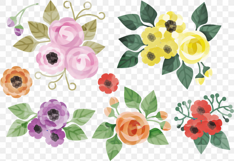 Rose, PNG, 1645x1137px, Flower, Cut Flowers, Petal, Pink, Plant Download Free