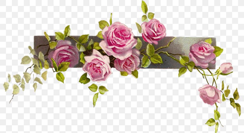 Rose Pink Clip Art, PNG, 800x446px, Rose, Art, Artificial Flower, Blue, Cut Flowers Download Free