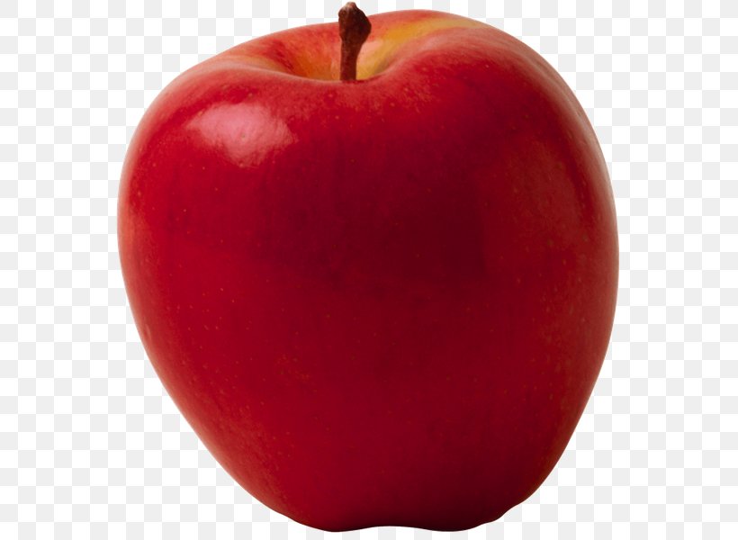 Stress Ball IPhone X Apple, PNG, 580x600px, Stress Ball, Accessory Fruit, Apple, Ball, Computer Hardware Download Free