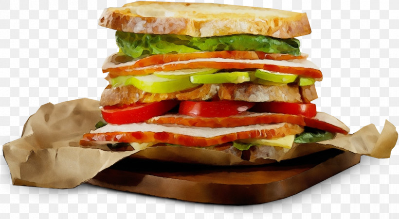 Veggie Burger Blt Cheeseburger Junk Food Pan Bagnat, PNG, 1170x646px, Watercolor, Blt, Breakfast Sandwich, Buffalo Burger, Burger Download Free
