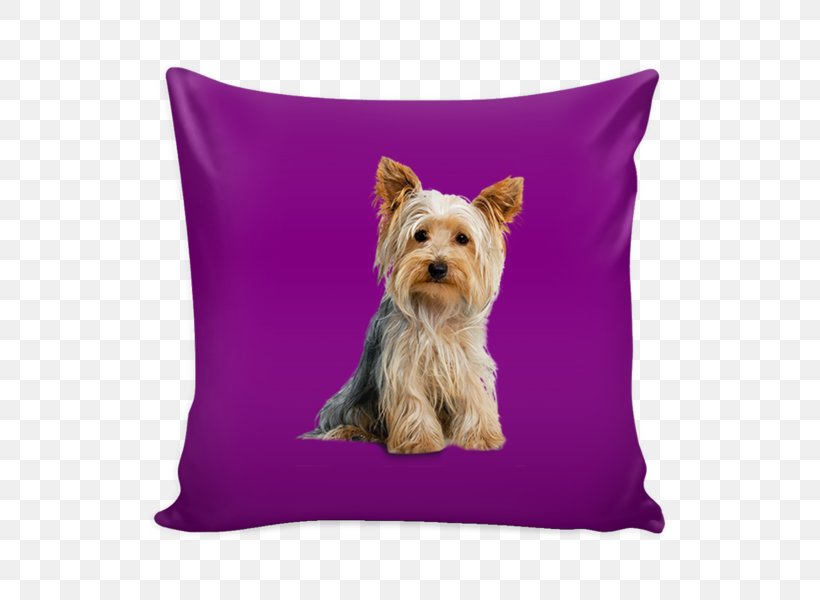 Yorkshire Terrier Bichon Frise Boston Terrier Pillow Cairn Terrier, PNG, 600x600px, Yorkshire Terrier, Bichon Frise, Boston Terrier, Cairn Terrier, Carnivoran Download Free