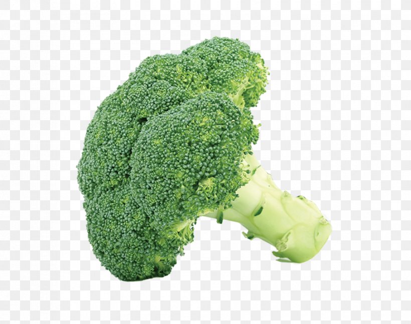 Broccoli Slaw Vegetable Cauliflower Clip Art, PNG, 905x715px, Broccoli, Brassica Oleracea, Broccoli Slaw, Cabbage, Cauliflower Download Free
