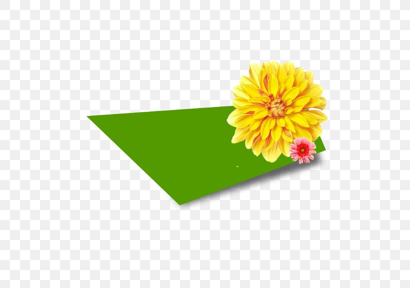 Chroma Key Green Yellow, PNG, 576x576px, Chroma Key, Chrysanths, Color, Daisy Family, Flower Download Free