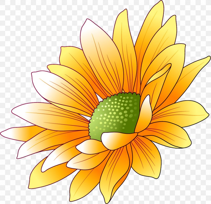 Common Sunflower Clip Art, PNG, 976x944px, Common Sunflower, Blossom, Chrysanths, Common Daisy, Conifer Cone Download Free