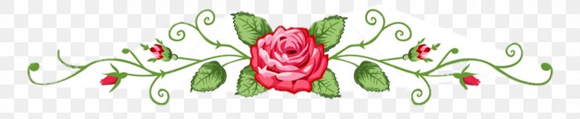 Floral Design Rose, PNG, 1136x235px, Floral Design, Art, Brand, Calligraphy, Cut Flowers Download Free
