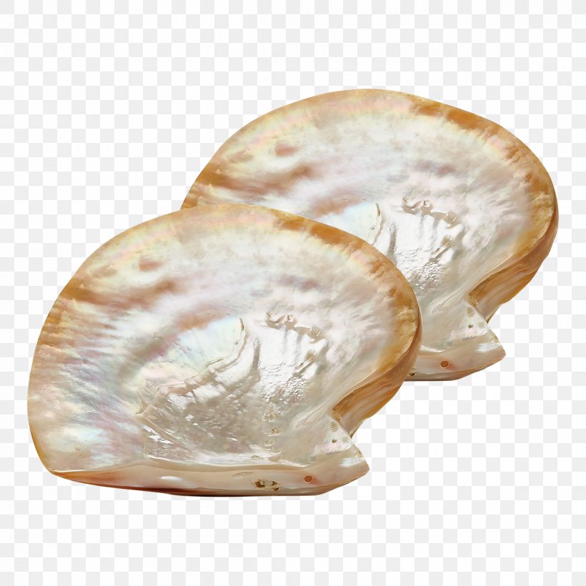 Plate Nacre Pearl Oyster Caviar Spoon, PNG, 1200x1200px, Plate, Bowl, Caviar Spoon, Clams Oysters Mussels And Scallops, Discounts And Allowances Download Free