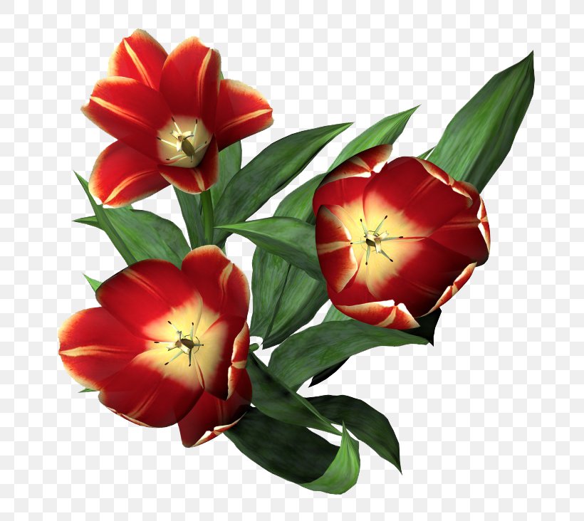 Tulip Flower Floral Design Clip Art, PNG, 760x732px, Tulip, Blume, Cut Flowers, Daffodil, Floral Design Download Free