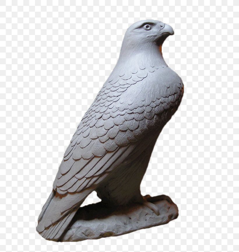 Black Hawk Statue Eagle Hawk Mountain Sanctuary Stone Sculpture, PNG, 624x864px, Black Hawk Statue, Art, Beak, Bird, Bird Of Prey Download Free