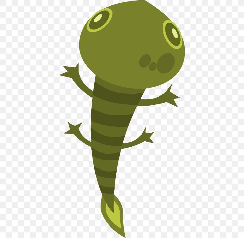 Clip Art Lizard Reptile Komodo Dragon, PNG, 424x800px, Lizard, Amphibian, Drawing, Fauna, Fish Download Free