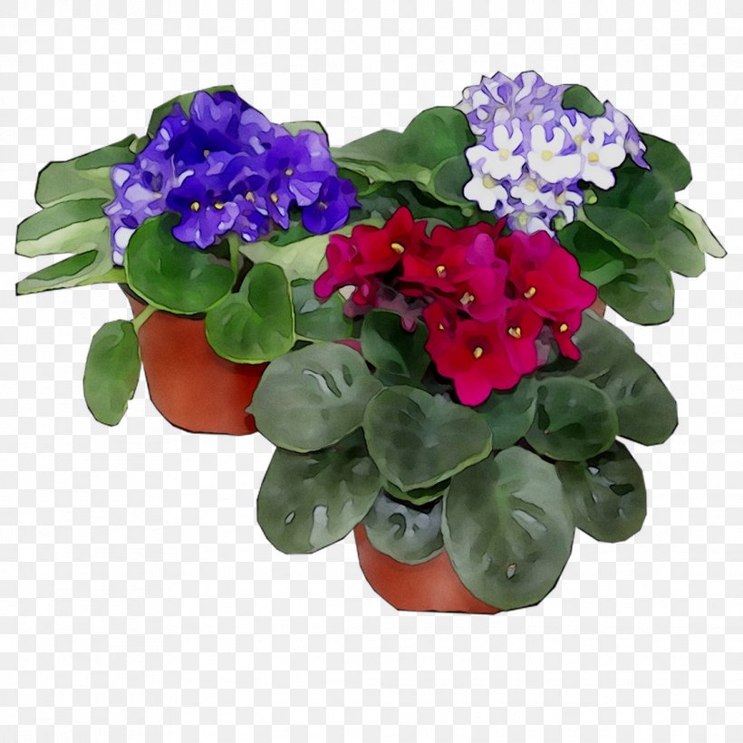 Flowerpot Annual Plant Herbaceous Plant Houseplant Cut Flowers, PNG, 1116x1116px, Flowerpot, Annual Plant, Bouquet, Cut Flowers, Flower Download Free