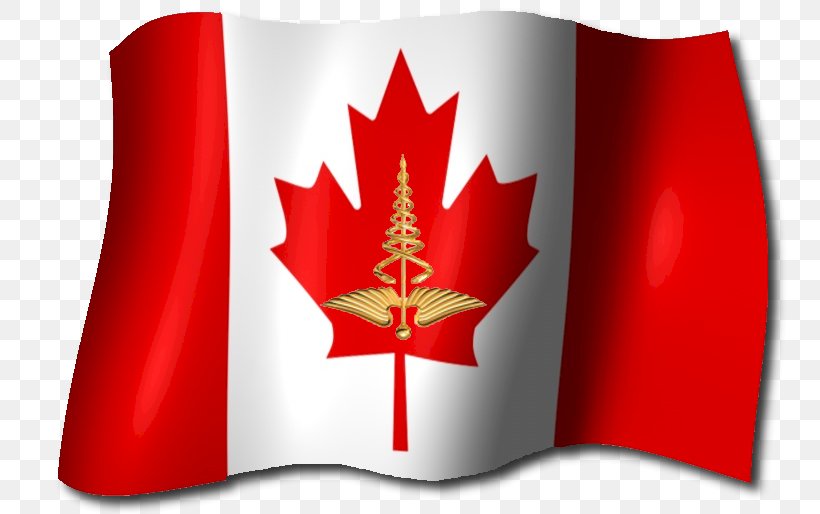 Health Care Health System Healthcare In Canada Ontario, PNG, 800x514px, Health Care, Canada, Flag, Health, Health Canada Download Free