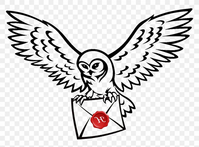 Owl Harry Potter Drawing Clip Art Image, PNG, 3000x2218px, Owl, Bird, Black Owl, Cartoon, Coloring Book Download Free
