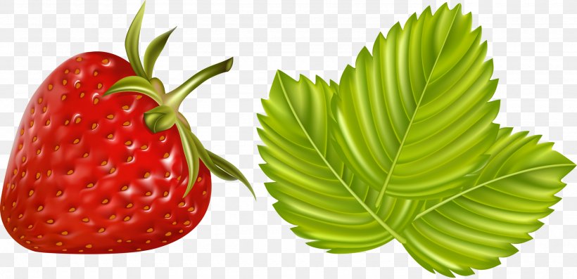Clip Art Berries Drawing Illustration Image, PNG, 2560x1240px, Berries, Diet Food, Drawing, Food, Fruit Download Free