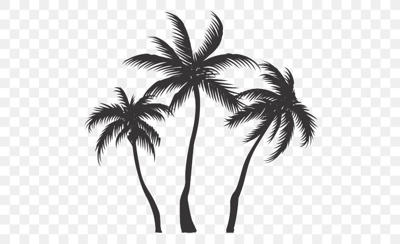 Coconut Vector Graphics Clip Art Asian Palmyra Palm, PNG, 500x500px, Coconut, Arecales, Asian Palmyra Palm, Attalea Speciosa, Black And White Download Free