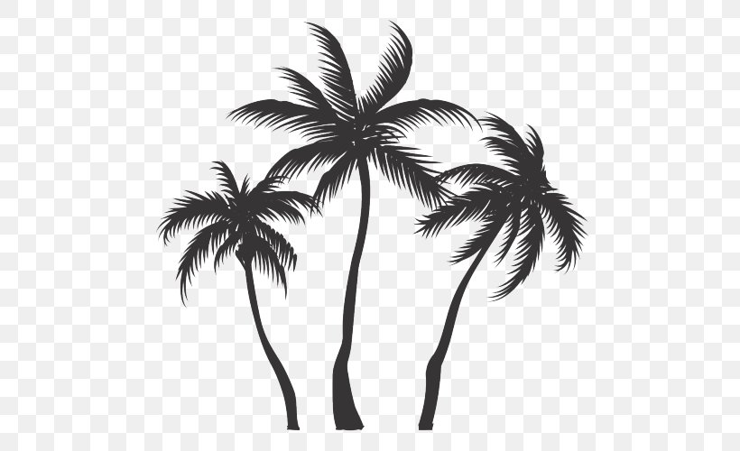 Coconut Vector Graphics Clip Art Asian Palmyra Palm, PNG, 500x500px ...