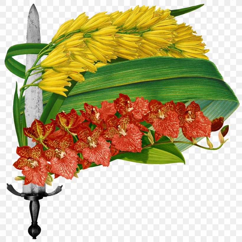Floral Design Cut Flowers Leaf, PNG, 1200x1200px, Floral Design, Behance, Botany, Collage, Cut Flowers Download Free