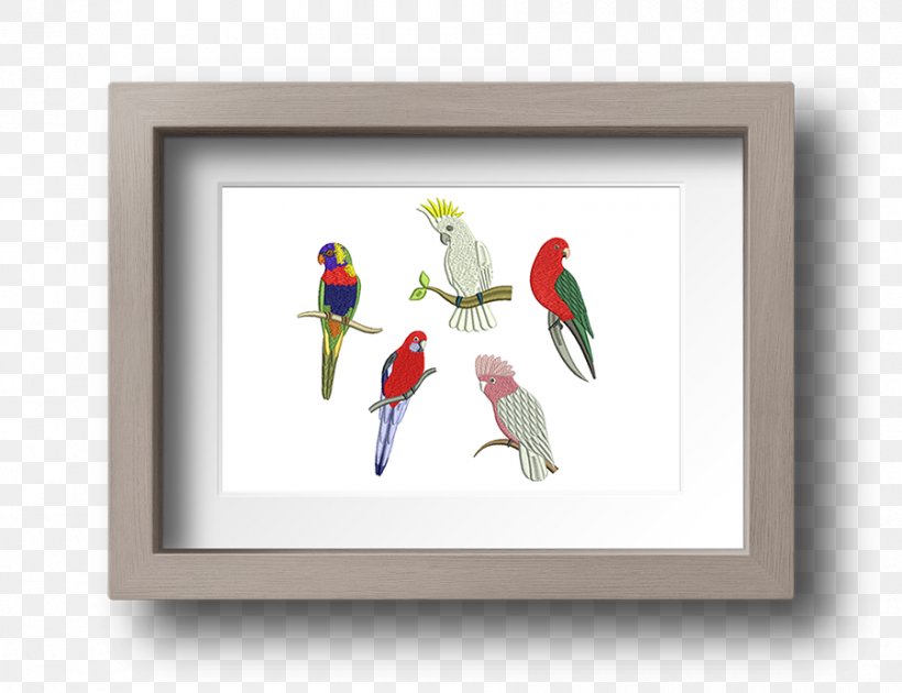 Macaw Parakeet Beak Feather Picture Frames, PNG, 900x692px, Macaw, Beak, Bird, Feather, Organism Download Free