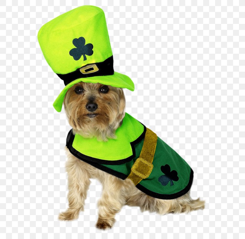 Saint Patrick's Day Dog Clothing Costume Dress, PNG, 620x800px, Saint Patrick S Day, Clothing, Companion Dog, Costume, Dog Download Free