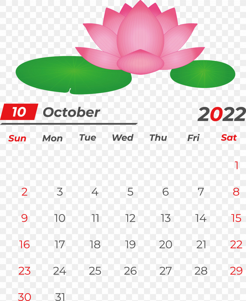 Calendar Line Font Flower Petal, PNG, 3974x4865px, Calendar, Flower, Geometry, Line, Mathematics Download Free